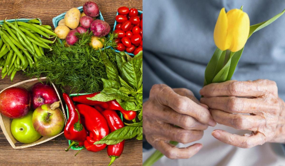 Експерт з довголіття вказав, що найважливіше для здоров'я і довгих років життя