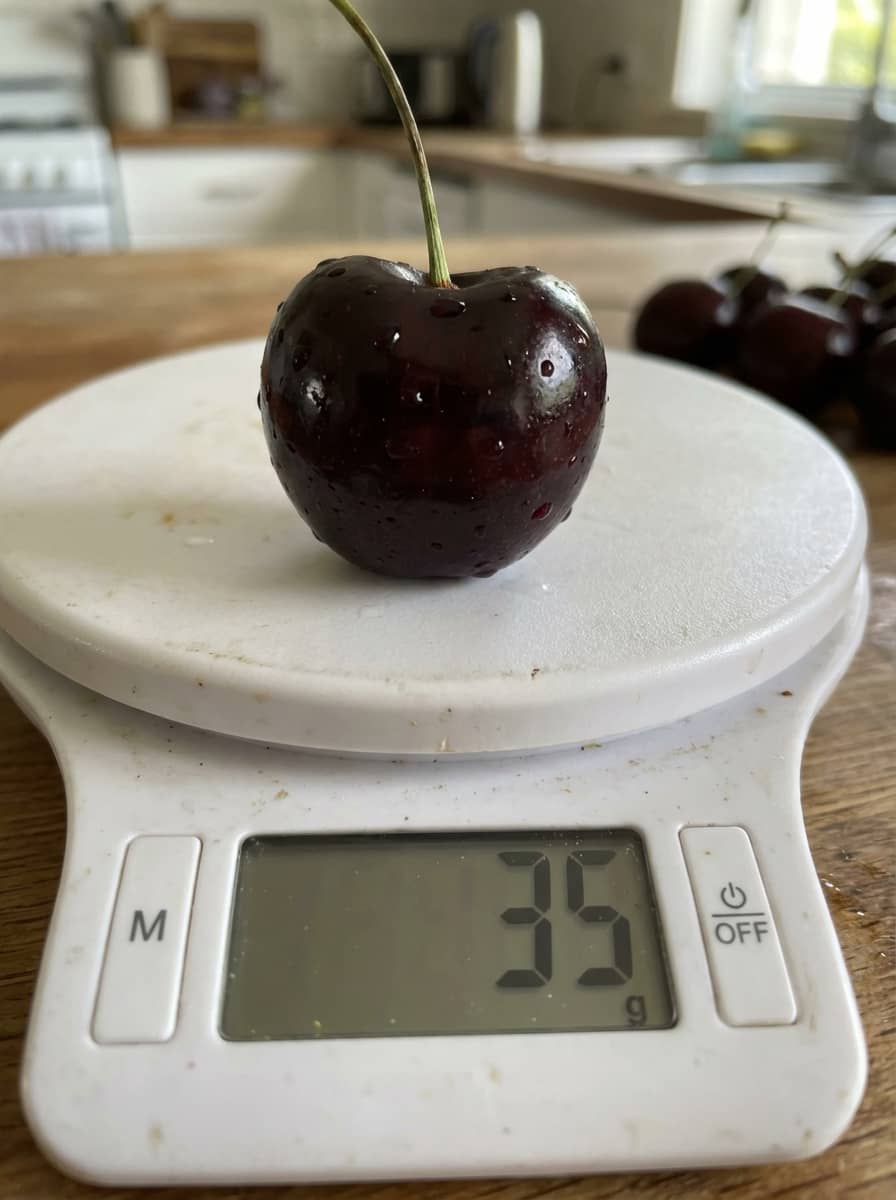 Ягоди черешні Долоня